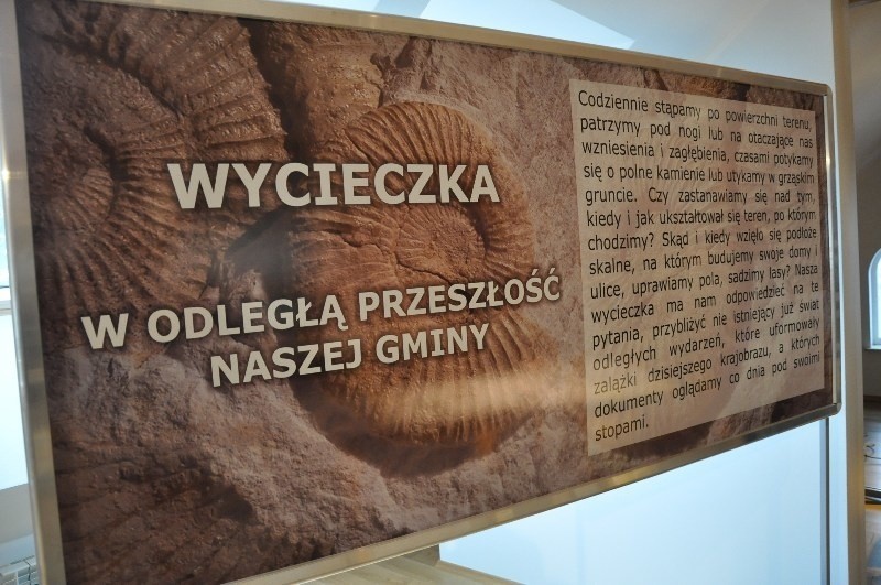 Gmina Rudniki przebudowała bibliotekę na galerię osobliwości...