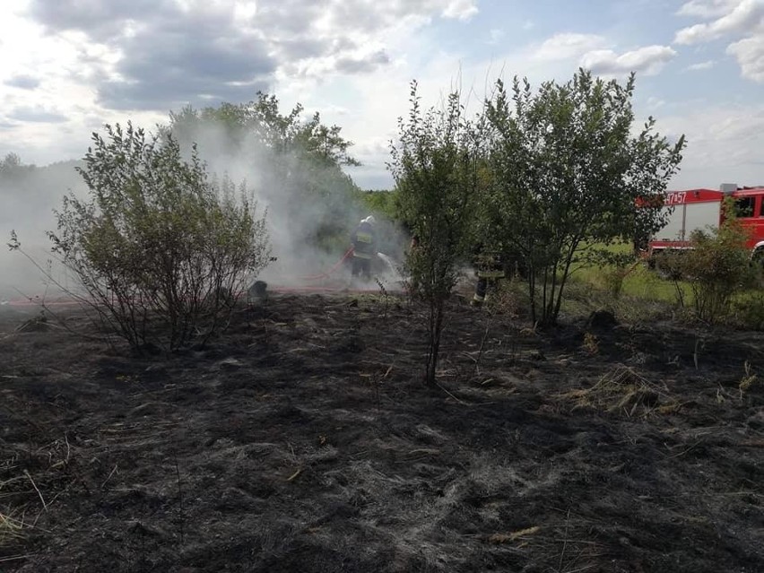 Od poczatku lipca, w Gorlickiem spłonęło około pięciu...