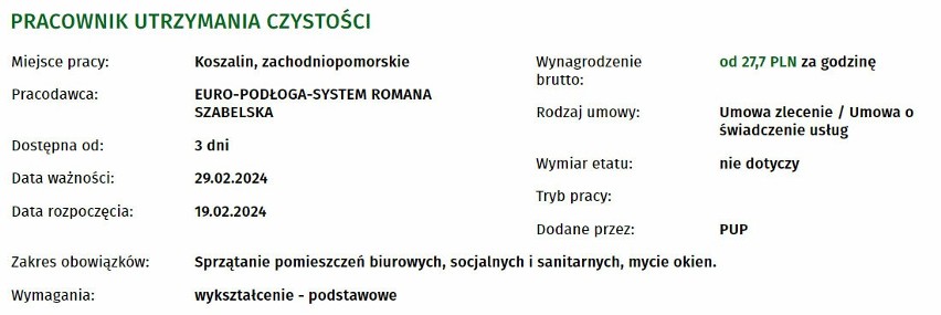 Nowe oferty pracy w Koszalinie i okolicach. Sprawdź!