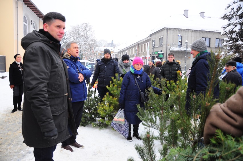 Akcja rozdawania sosen z Pustyni Błśdowskiej na...