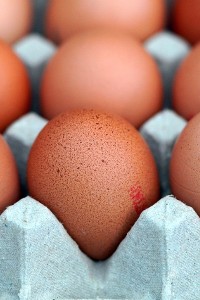 Wypieki na święta będą droższe. Dlaczego ceny jajek tak urosły? Ekspert wyjaśnia