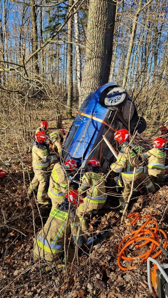 Straciła panowanie nad kierownicą. Auto stanęło równolegle do drzewa!