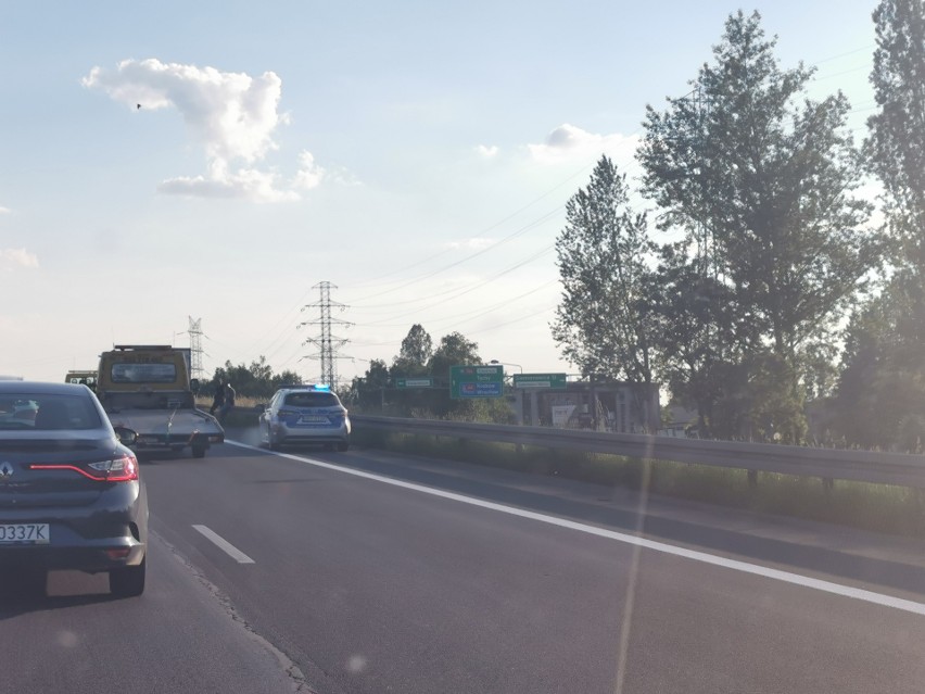 Samochód dostawczy zderzył się z sarną na S86 w Katowicach....