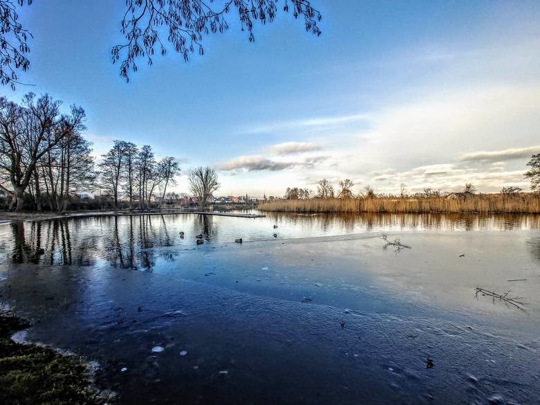 Jeziora Trzciela, czyli poznaj tajemnice Wyspy Kormoranów