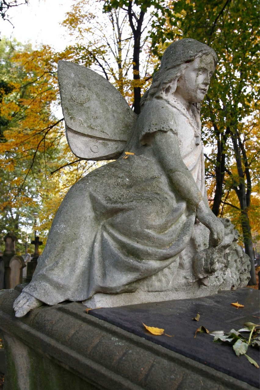 Dziewczyna ze skrzydłami motyla na grobowcu Stanisława...