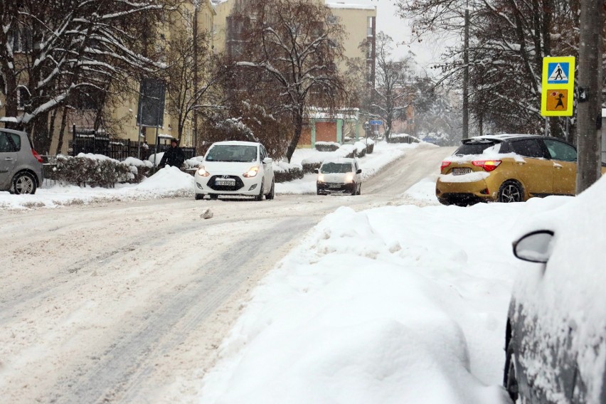 Wielki atak zimy w Lublinie. Miasto przykrył biały puch                 