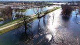 Wrocław: Najwyższy stopień ostrzeżenia dla Widawy. Wody przekroczyły stan alarmowy! Tak rzeka wyglądała wczoraj