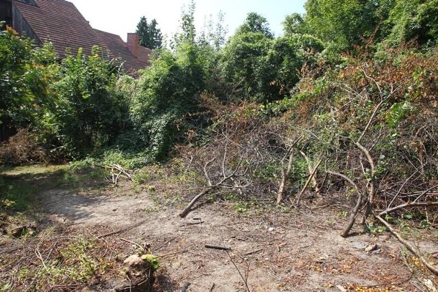 Spółka Szkolna 13 związana z Dariuszem M., oskarżanym o różne przestępstwa gospodarcze, straciła prawo własności działek, na których miał stanąć budynek