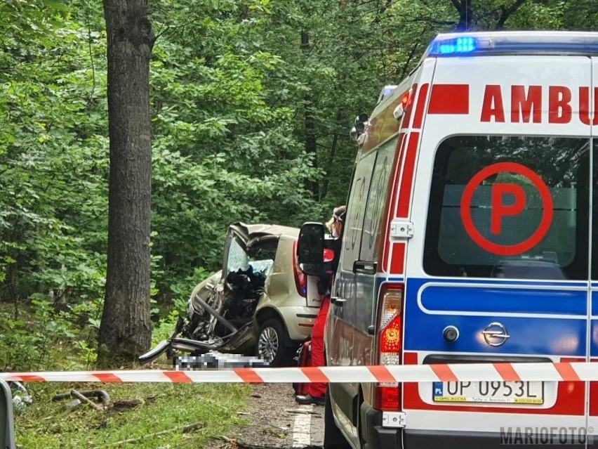 Jedna osoba zginęła w wypadku pod Turawą.