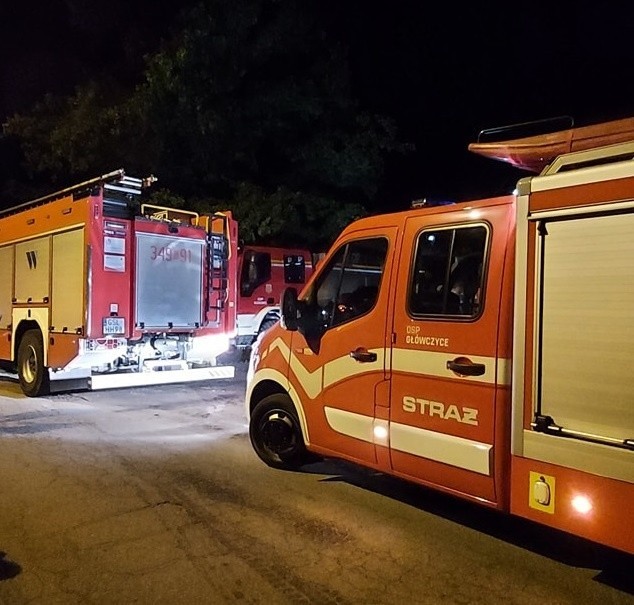 Mamy w pełni sezon grzybowy. Niestety, niektórzy zbieracze przeceniają swoje możliwości orientacji w terenie. Dwa ostatnie przypadki poszukiwania grzybiarzy – w Wiklinie i Zielinie, skończyły się dobrze. Nie zawsze tak jednak jest.