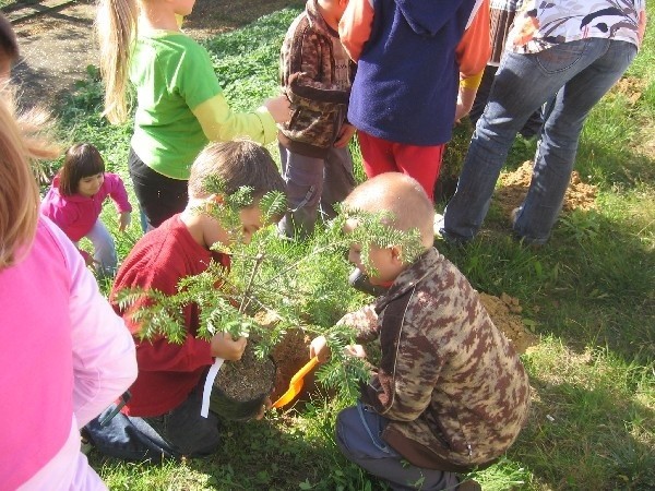 Dzieci z Przedszkola Miejskiego nr 16 w Przemyślu przyłączyły się do międzynarodowej akcji "Kampania Miliarda Drzew dla Planety&#8221;.