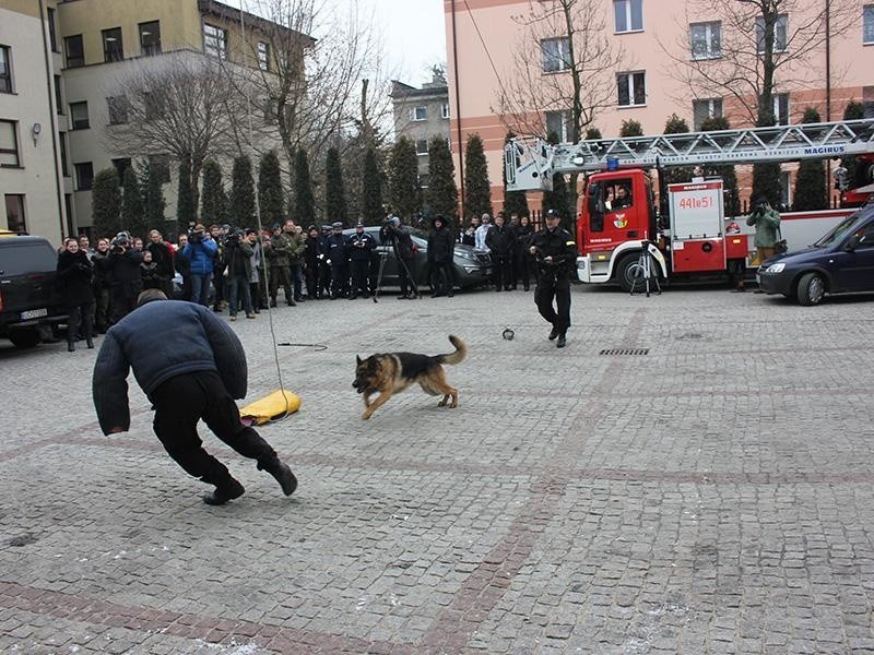 Pokazy służb mundurowych w WSB