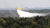Kilkuset strażaków gasiło las w Ciszku koło Jastrzębi (video, zdjęcia)