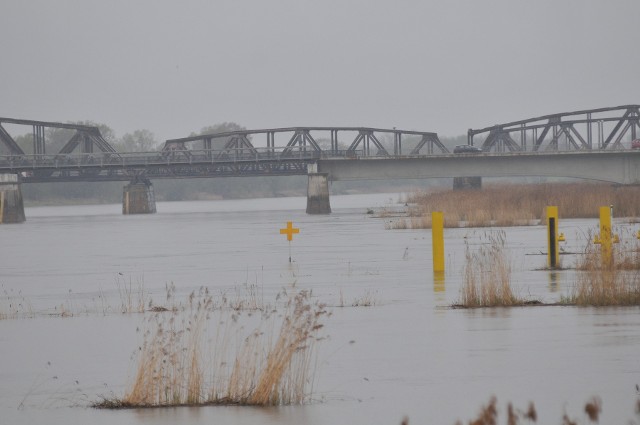 Odra w Kostrzynie jest wysoka, ale nie ma zagrożenia powodziowego.