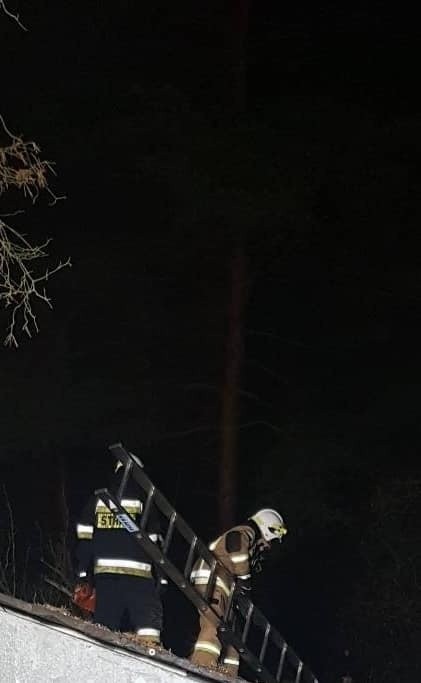 Nietypowa interwencja strażaków w gminie Stąporków. W Światowy Dzień Drwala usuwali skutki... nieprofesjonalnej wycinki drzewa [ZDJĘCIA]