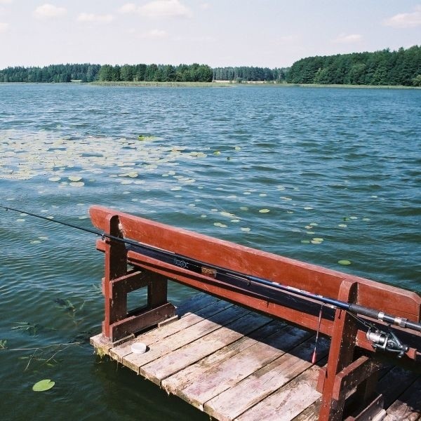 Jesienią dobrze zeruje szczupak. Mozna zlowic sandacza.