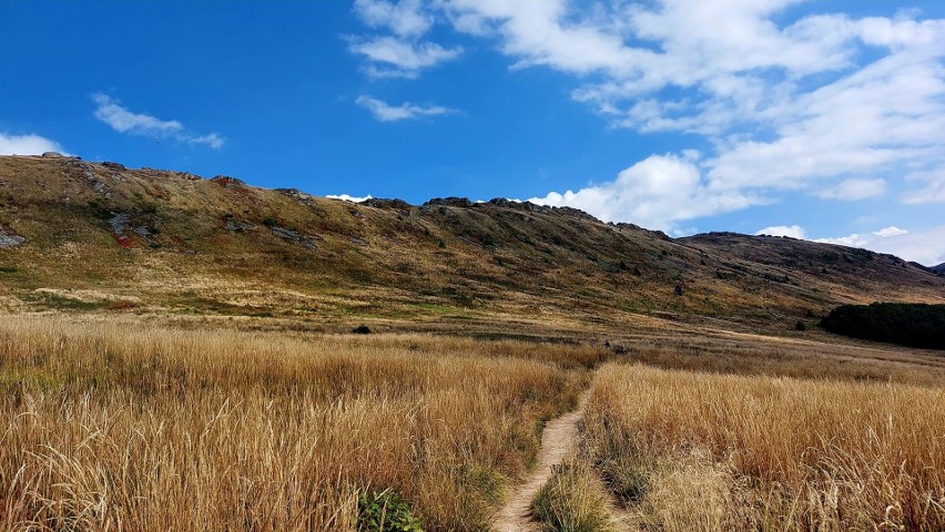 Jesienne barwy wkradają się w Bieszczady. Szlaki nabierają złocistych kolorów [ZDJĘCIA CZYTELNIKA]