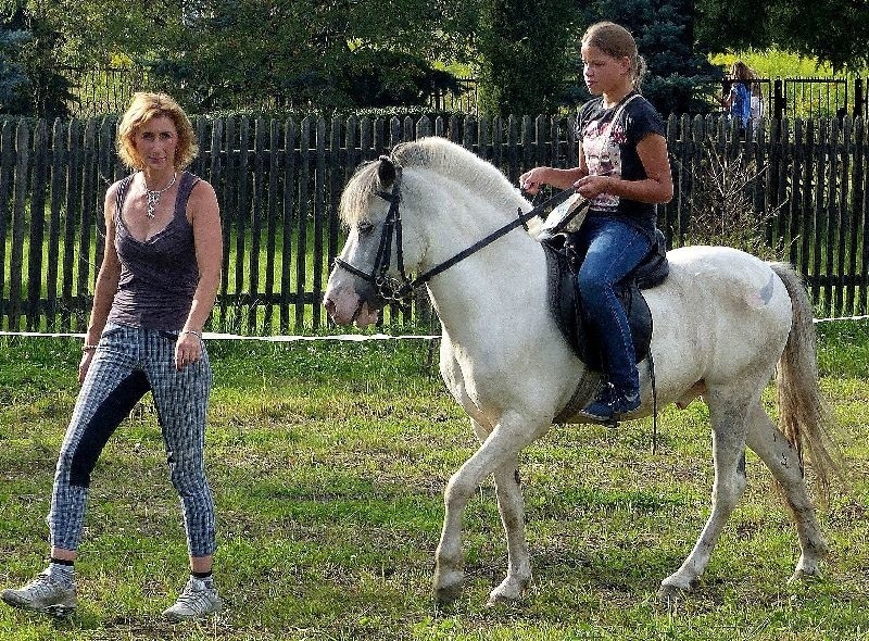 Dużą popularnością cieszyły się przejażdżki na kucach.