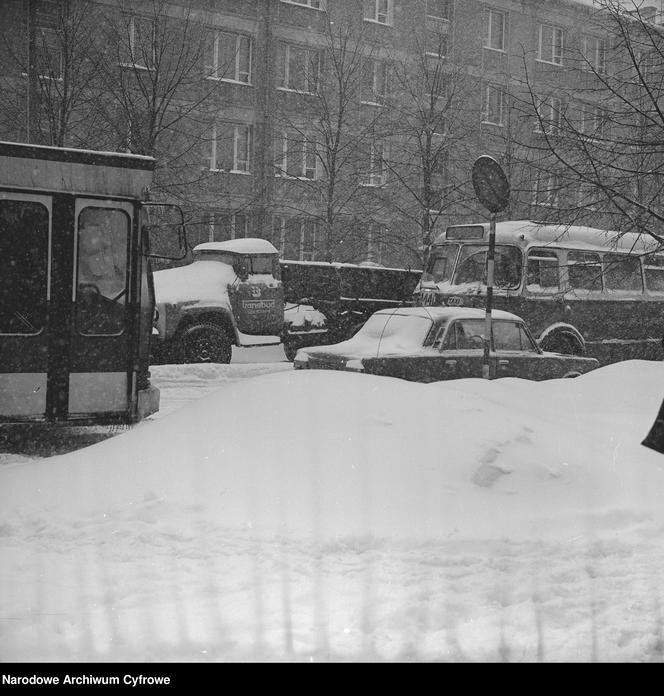 Czy czeka nas zima stulecia? Zobacz jak wyglądały najmroźniejsze zimy w historii Polski. Cały kraj był sparaliżowany. Archiwalne zdjęcia