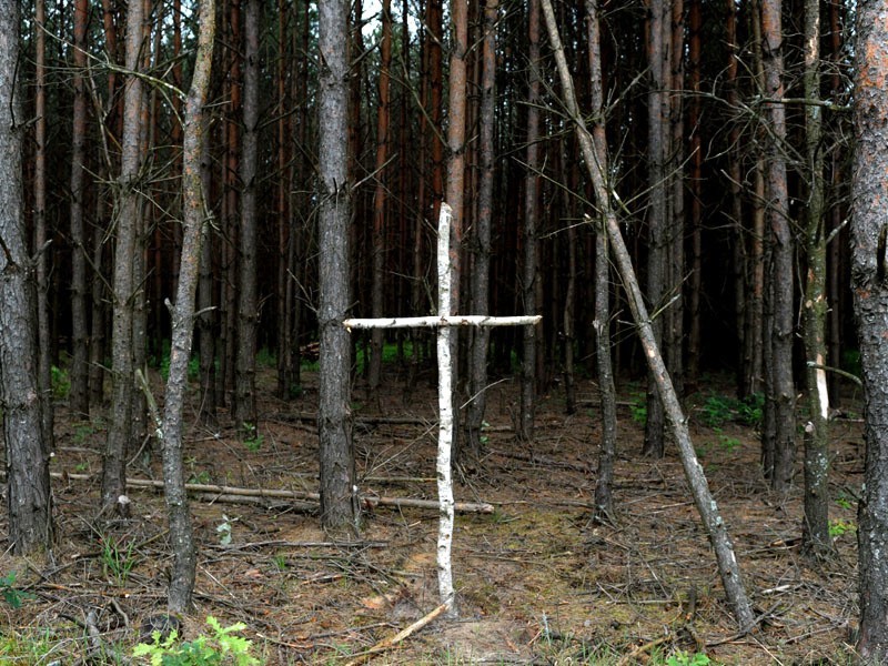 Brzozowy krzyż na skraju lasu w okolicy tzw. trupiego pola.