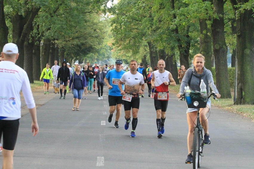 36. PKO Wrocław Maraton w niedzielę. Przez wiele godzin będą utrudnienia [ROZKŁAD JAZDY MPK, TRASA, ZAKAZ PARKOWANIA, OBJAZDY]