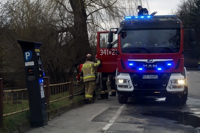 W niedzielę po południu w Słupsku spacerowicz zauważył w Słupi zwłoki psa. Zwierzę wyłowili strażacy, którzy zostali wezwani przez policję.