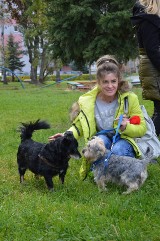 Nowy Sącz. Schronisko dla psów będzie nad Dunajcem? Miasto szuka miejsca dla bezdomnych zwierząt