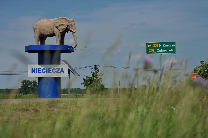 To był szok dla całego środowiska. 30 maja 2015 roku...