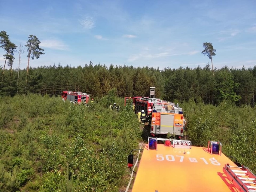 Pożar lasu w Solarni 23.06.2019.