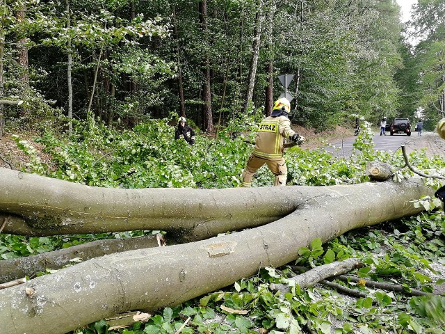 Jednostka OSP Złocieniec została zadysponowana na trasę Złocieniec - Bobrowo do powalonych drzewa na drodze. Droga była całkowicie zablokowana.