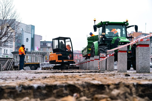 Ruszyły nasadzenia drzew na Placu Wolności w Rybniku