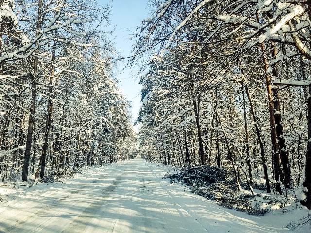 W poniedziałek, 19 sierpnia wszystkie drogi w okolicach Staszowa były przejezdne, jednak gdzieniegdzie mogliśmy napotkać na utrudnienia. Jak wyglądają drogi powiatu staszowskiego wiele godzin po ustąpieniu intensywnych opadów śniegu?Zobaczcie na kolejnych slajdach>>>