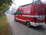 Pożar chlewni w powiecie starogardzkim (11.10.2022). Skomplikowana akcja strażaków