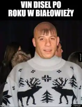 Światowe gwiazdy po sylwestrze na Podlasiu. Nie ma lekko! Zobacz najlepsze MEMY i śmieszne obrazki