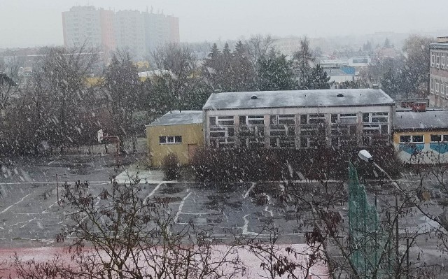W czwartek, 19 stycznia 2023 roku od godzin porannych na północy Podkarpacia zaczął padać śnieg