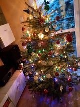 Mieszkańcy województwa lubelskiego ubrali już choinki! Zobacz zdjęcia świątecznych drzewek naszych Czytelników z Puław i Świdnika