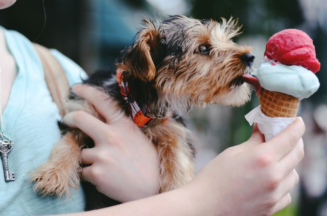 W upalne dni trzeba wybrać się na lody! Przedstawiamy listę miejsc, które warto odwiedzić w Krakowie.