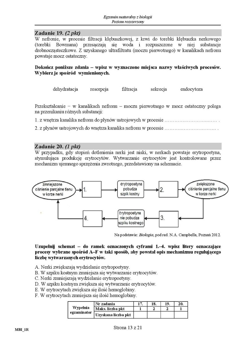 Stara matura 2016: Biologia rozszerzona [ODPOWIEDZI, ARKUSZ...