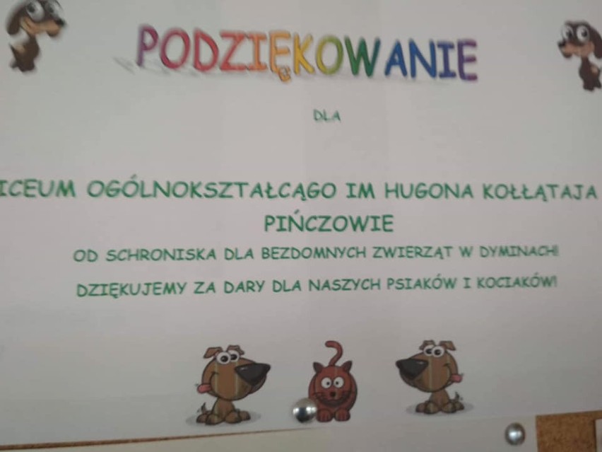 Uczniowie pińczowskiego "Kołłataja" pomagają bezdomnym zwierzętom. Zorganizowali zbiórkę na rzecz schorniska w Dyminach