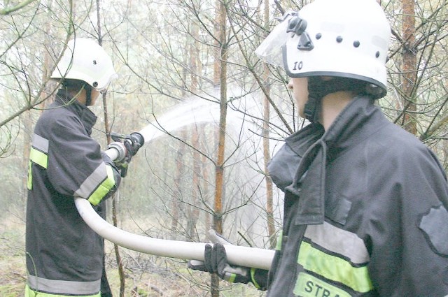 Na wszelki wypadek, strażacy z powiatu inowrocławskiego często ćwiczą gaszenie pożaru lasu