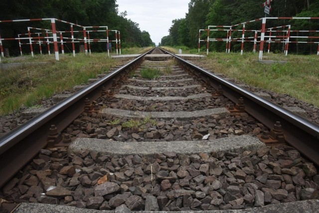 Po śmiertelnym potrąceniu mężczyzny, który wszedł na tory w Okonku w pow. złotowskim (Wielkopolskie) wstrzymany jest ruch pociągów.