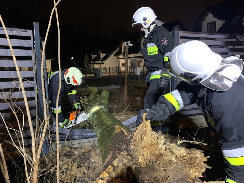 Skutki wichury łagodzili strażacy z OSP Bolechowice