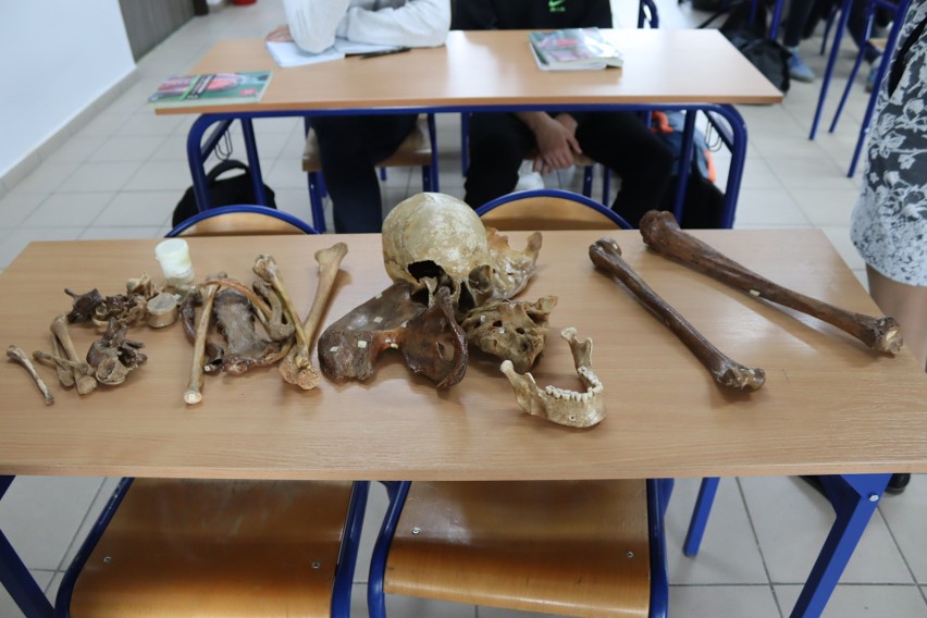 Ludzkie kości jako pomoc naukowa. Słupscy uczniowie uczą się anatomii [zdjęcia]