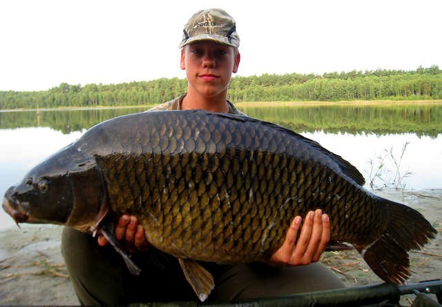 Na jeziorze Tuszynek koło Osieka 15-letni  Robert Kukiel złowił karpia, ważącego  18,1 kilograma. Norma Złotego Medalu PZW została przekroczona o 3,1 kilograma