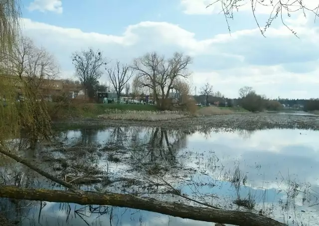 O jeziorku Słoneczne jest głośno od czasu ubiegłorocznej katastrofy ekologicznej, kiedy po pożarze hali produkcyjnej w zakładzie Mabo w pobliskim Mierzynie do ścieku Wierzbak a z niego do rzeki Bukowa (wpływającej do jeziora) spłynęły zanieczyszczenia.