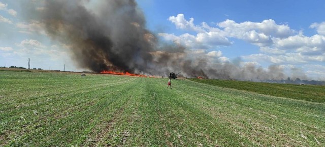 - Po przybyciu na miejsce zdarzenia zastano kilka hektarów zboża na pniu i ścierniska w ogniu oraz prasę rolniczą, z której wydobywał się dym. Zagrożone pożarem były sąsiednie pola ze zbożem - relacjonują strażacy z KP PSP Mogilno