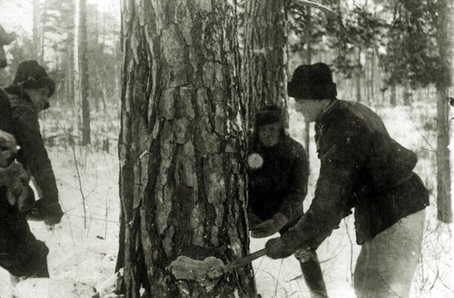 Deportowani w 1940 r. Polacy w Białojarsku, rejon barnaulski, Ałtajski Kraj, lata 1943–1946