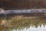 Prawie jak Morskie Oko. Ogromne zapadlisko w Hutkach w całości wypełniło się wodą. Takich jeziorek w powiecie olkuskim jest znacznie więcej