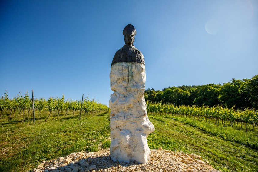 Nad winoroślami, które zajmują aż 26 hektarów, góruje pomnik...