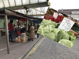 Ceny nowalijek w Słupsku zaskakują. Zobacz po ile są warzywa w mieście [ZDJĘCIA]